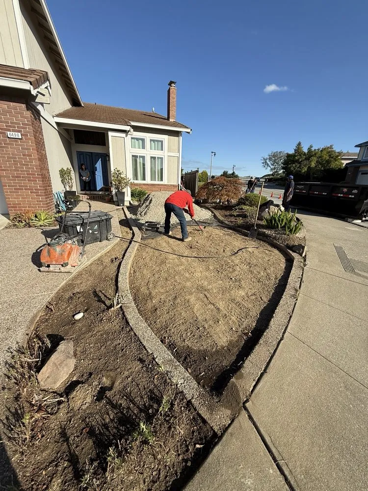 Local lawn care service experts serving San Francisco, CA - Lea & Kay Lawns Future