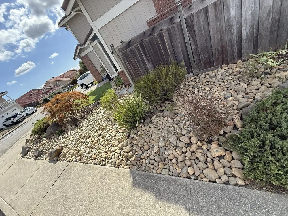 Reliable lawn care service experts serving San Francisco, CA - Lea & Kay Lawns Future