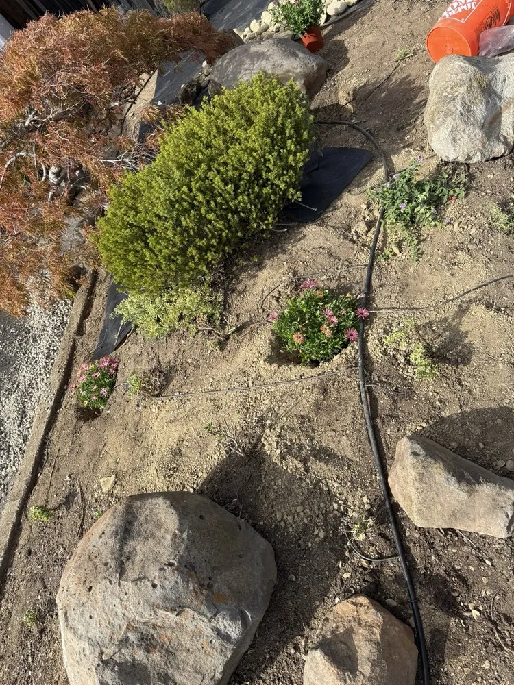 Custom landscaping services with custom design across San Francisco, CA - Lea & Kay Lawns Future