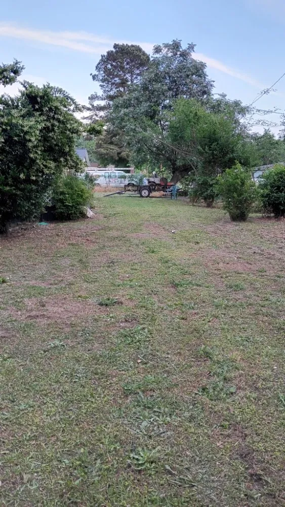 Custom yard maintenance in Dillon, SC by Leach Grass Cutting