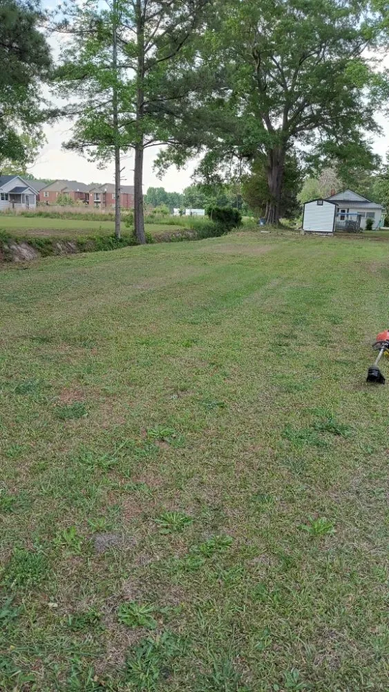 Expert landscape installation in Dillon, SC - Leach Grass Cutting