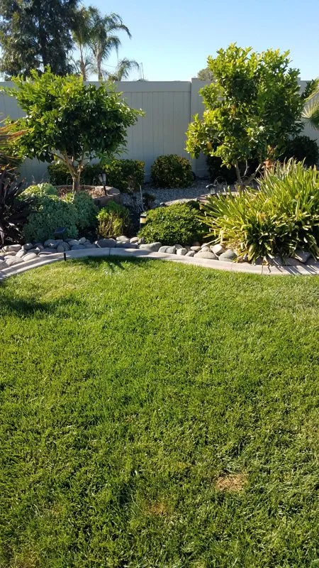 Affordable residential landscaping for beautiful yards in Wildomar, CA by Leader Landscape Irrigation