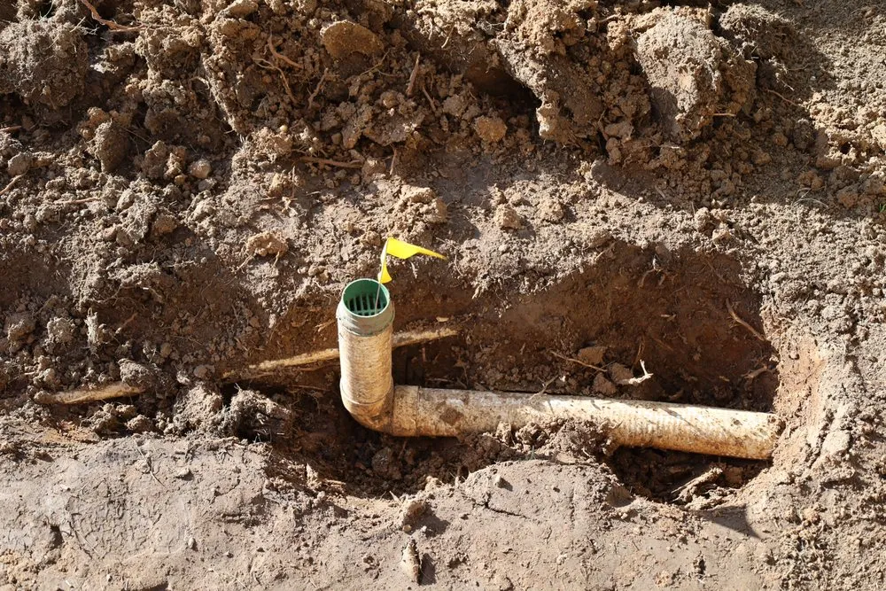 Custom residential landscaping in Wildomar, CA by Leader Landscape Irrigation