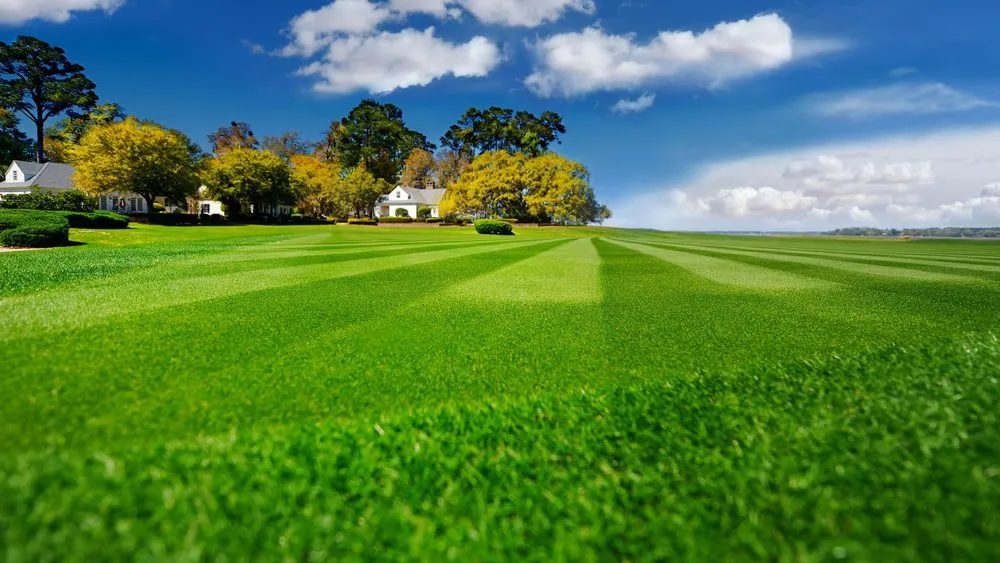 Expert lawn mowing service experts serving East Berlin, PA - Leaders Turf Management
