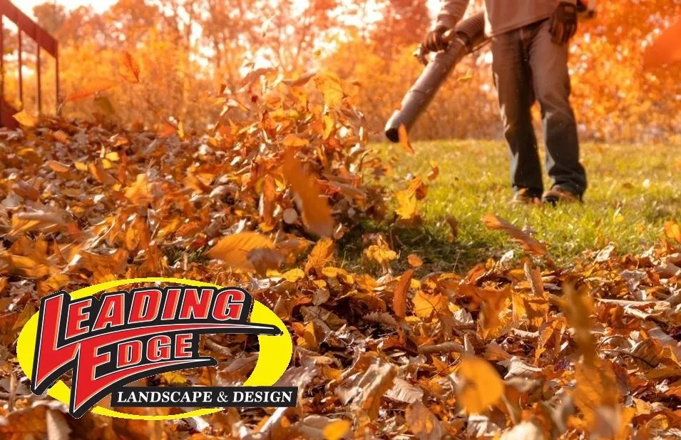Top-rated landscape design for outdoor upgrades across Ivyland, PA - Leading Edge Landscape And Design