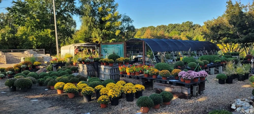Affordable garden landscaping near you in El Paso, AR by Leading Edge Landscaping And Supply