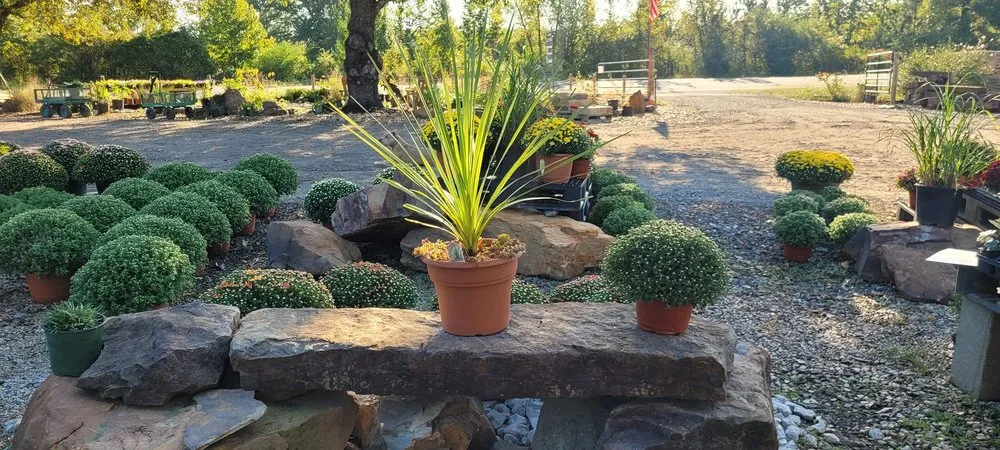 Professional landscape installation in El Paso, AR - Leading Edge Landscaping And Supply