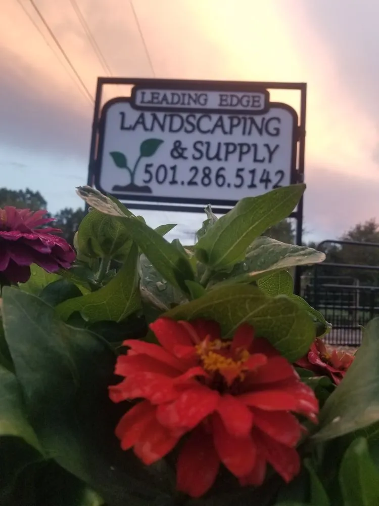 Reliable yard maintenance in El Paso, AR by Leading Edge Landscaping And Supply