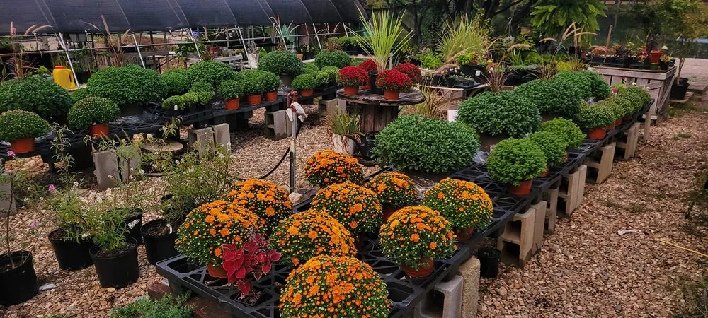 Reliable landscaping services in El Paso, AR - Leading Edge Landscaping And Supply