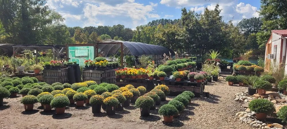 Top-rated garden landscaping in El Paso, AR by Leading Edge Landscaping And Supply