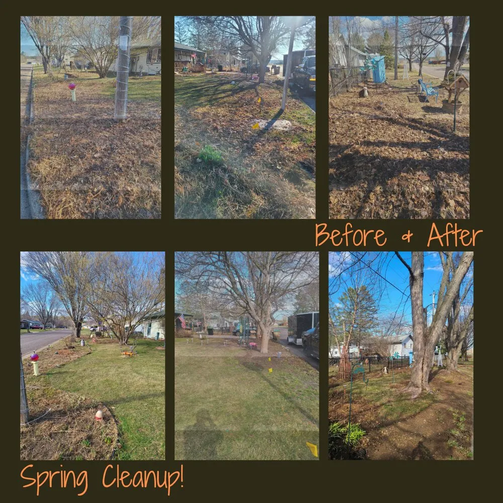 Affordable landscape installation in Cadott, WI by Leading Edge Lawn Care
