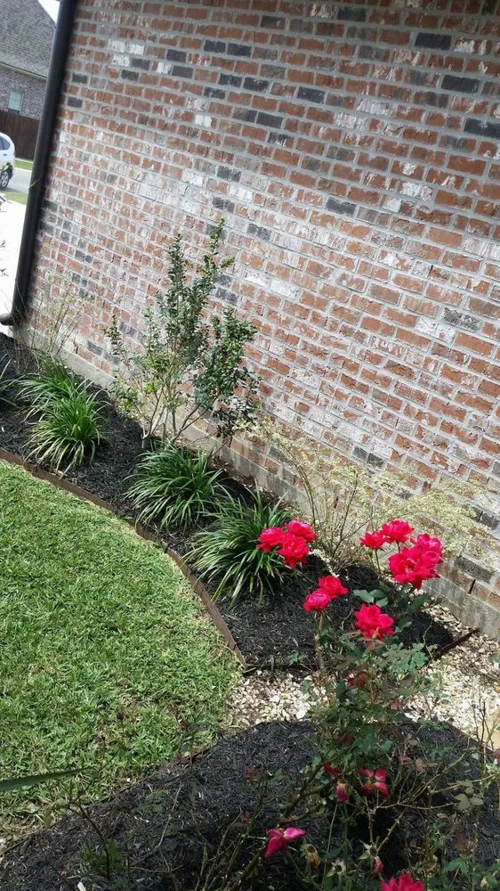 Top-rated lawn mowing service with custom design across New Iberia, LA - Leading Edge Lawn Care