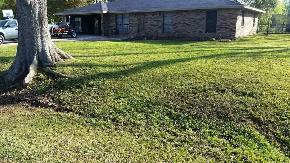 Local garden landscaping for year-round maintenance across New Iberia, LA - Leading Edge Lawn Care