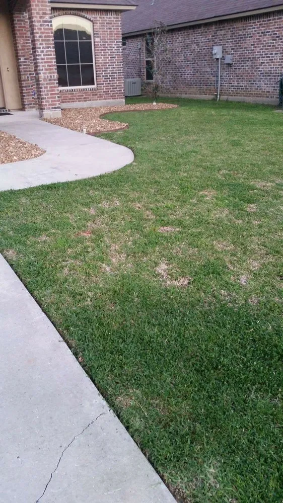 Trusted yard cleanup service for residential properties across New Iberia, LA - Leading Edge Lawn Care