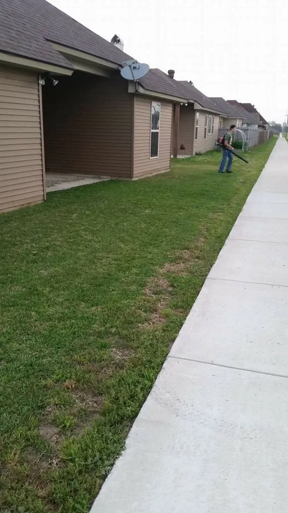 Affordable lawn care service in New Iberia, LA by Leading Edge Lawn Care