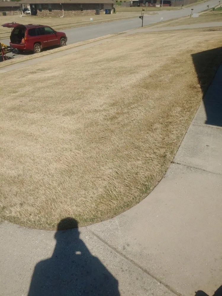 Expert yard cleanup service experts serving New Market, AL - Leading Lawn Care