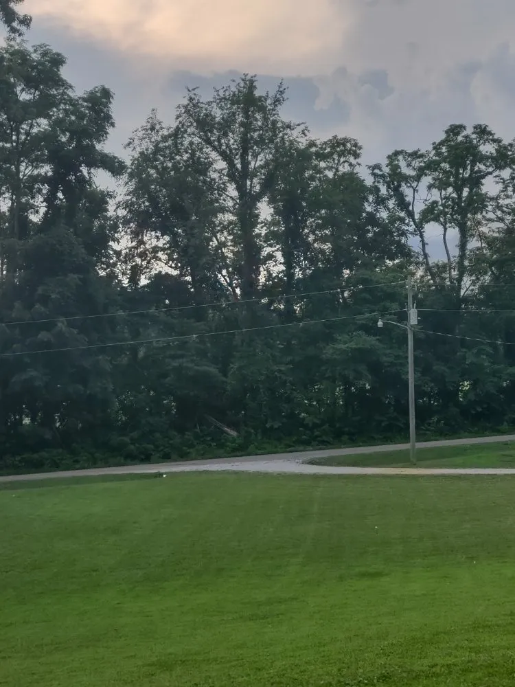 Professional yard cleanup service in New Market, AL by Leading Lawn Care