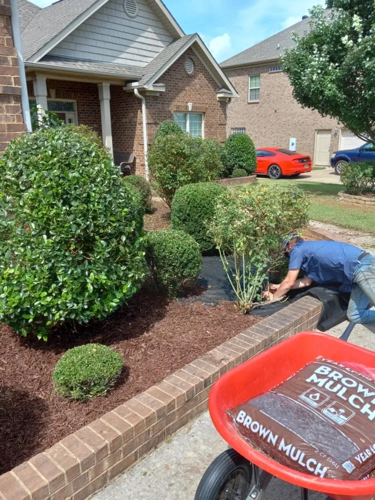 Expert landscape design in New Market, AL - Leading Lawn Care