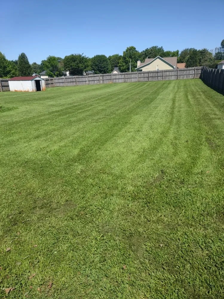 Reliable landscape design in New Market, AL by Leading Lawn Care