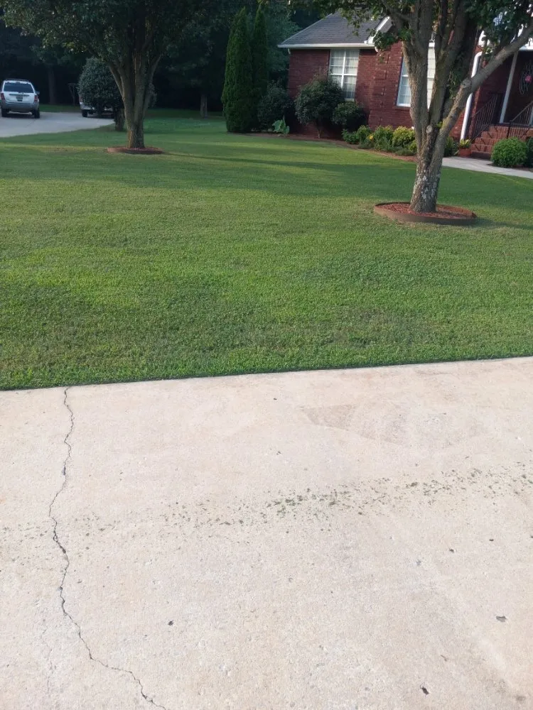 Professional lawn care service in New Market, AL - Leading Lawn Care