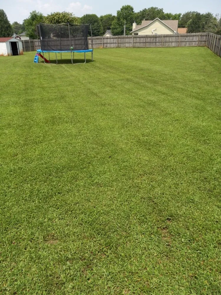 Expert landscape design experts serving New Market, AL - Leading Lawn Care