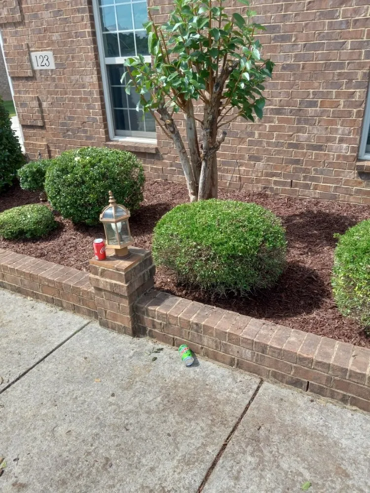 Expert landscape installation near you across New Market, AL - Leading Lawn Care