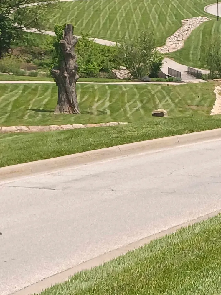 Expert outdoor landscaping for homes in Kansas City, MO by Leading Lawncare