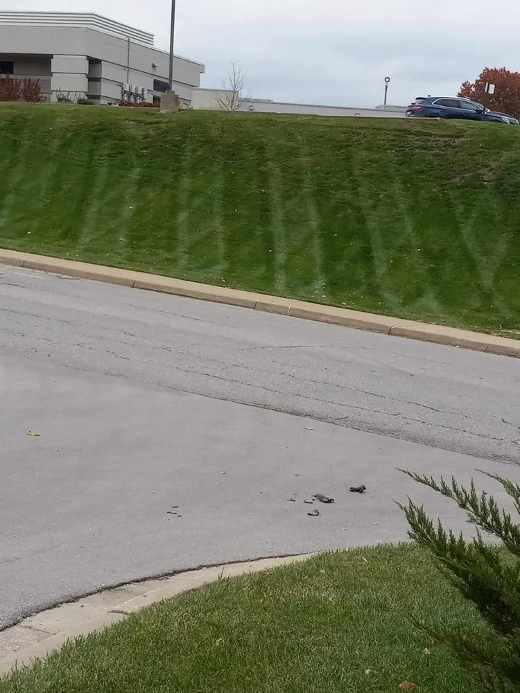 Trusted yard cleanup service for beautiful yards across Kansas City, MO - Leading Lawncare