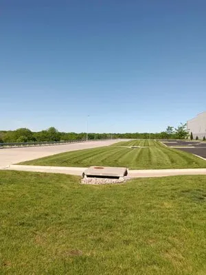 Leading Lawncare Logo