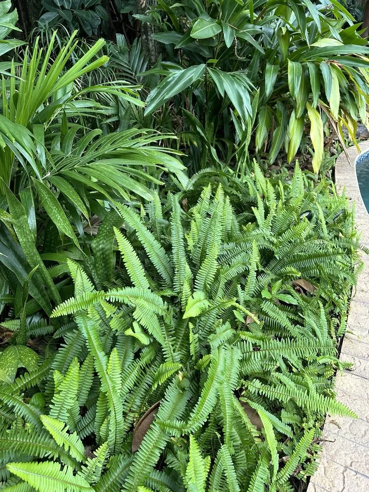 Professional lawn mowing service in Pompano Beach, FL by Leading Legacy Landscaping