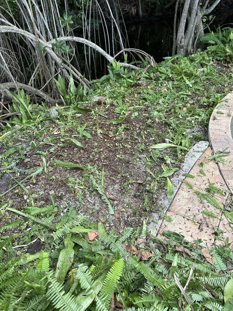 Affordable yard cleanup service near you in Pompano Beach, FL by Leading Legacy Landscaping