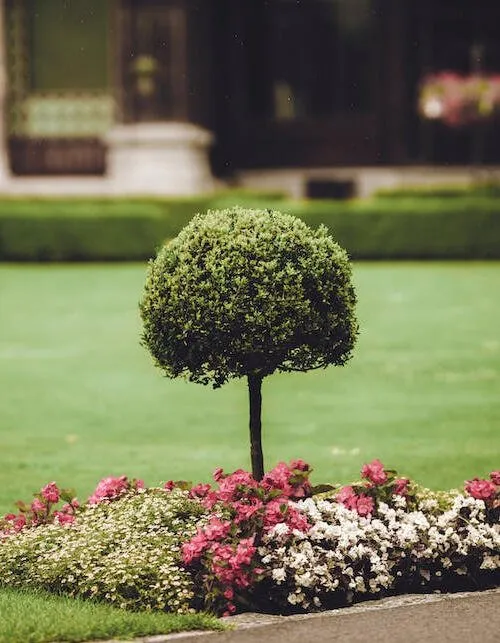 Local landscape design experts serving Wilmington, MA - Leaf & Go Landscaping