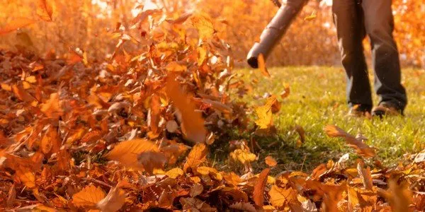 Top-rated landscape design for beautiful yards in Mission Hills, KS by Leaf & Snow Removal Guys