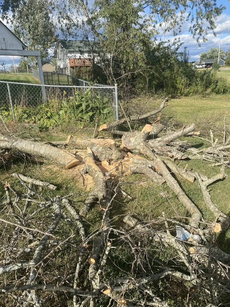 Professional lawn mowing service in Johnson City, TN by Leaf & Stone Landscaping