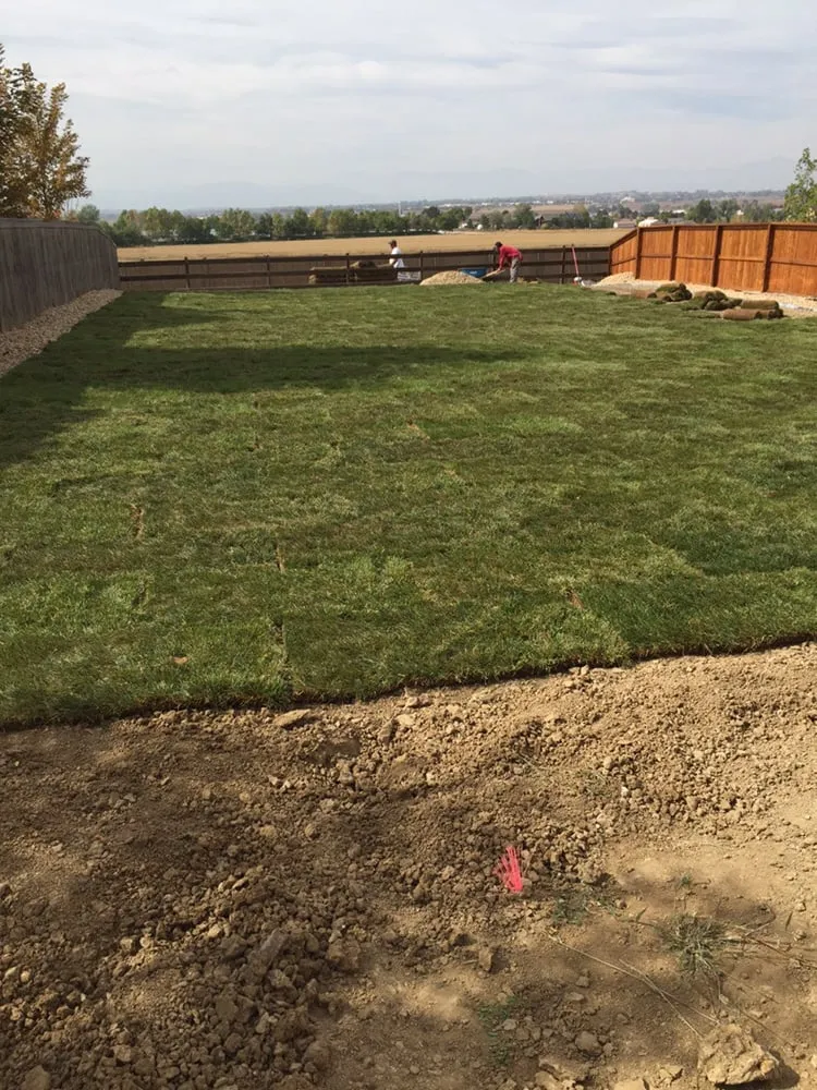 Top-rated lawn mowing service in Thornton, CO - Leaf & Stone Landscaping