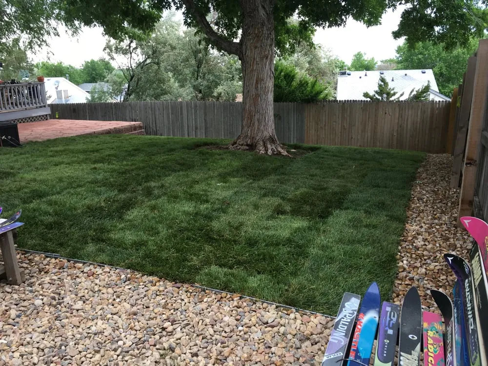 Affordable landscape installation experts serving Thornton, CO - Leaf & Stone Landscaping