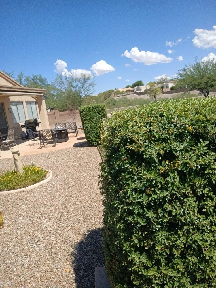 Trusted landscape installation for year-round maintenance across Tucson, AZ - Leaf and Hammer