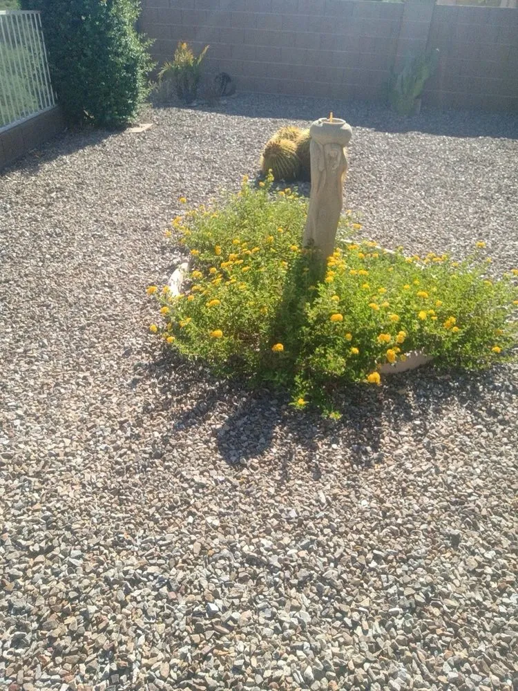 Expert lawn mowing service experts serving Tucson, AZ - Leaf and Hammer