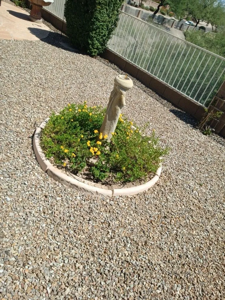 Reliable landscaping services in Tucson, AZ - Leaf and Hammer