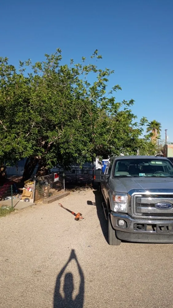 Trusted yard maintenance experts serving Tucson, AZ - Leaf and Hammer