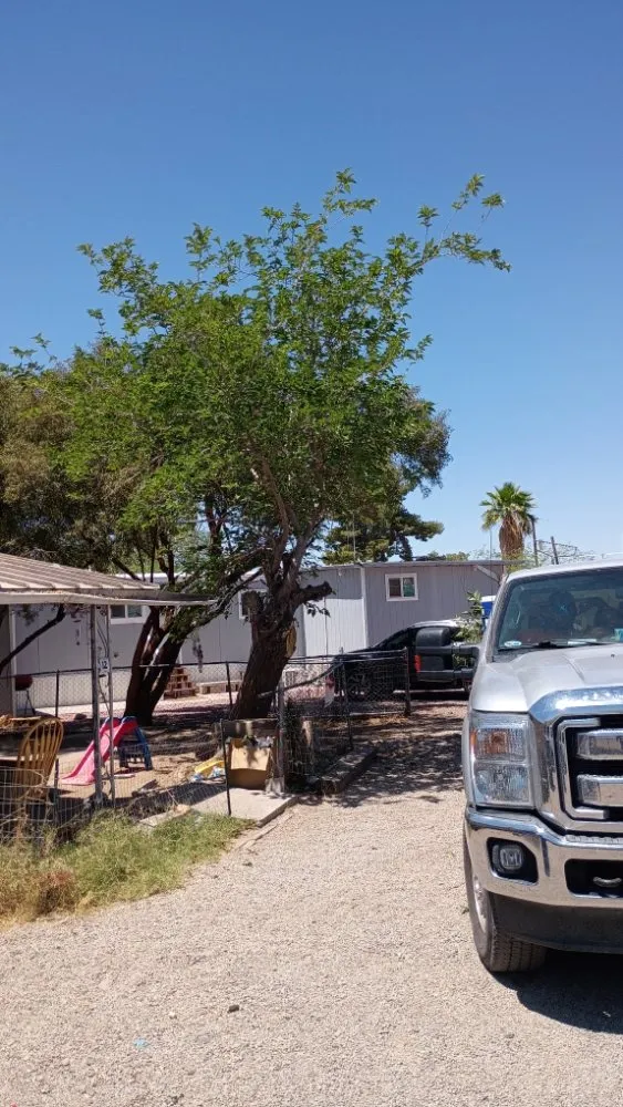 Expert landscape design in Tucson, AZ - Leaf and Hammer