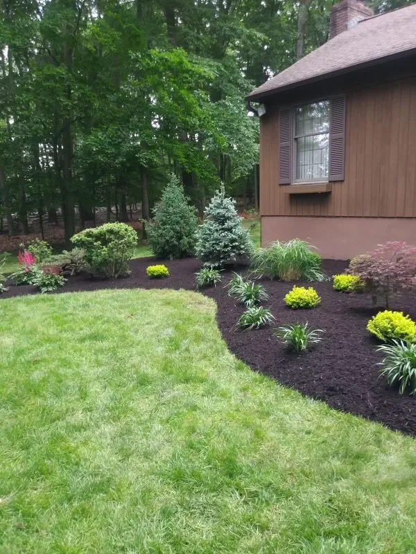 Custom yard cleanup service for beautiful yards across Oakland, FL - Leaf And Home