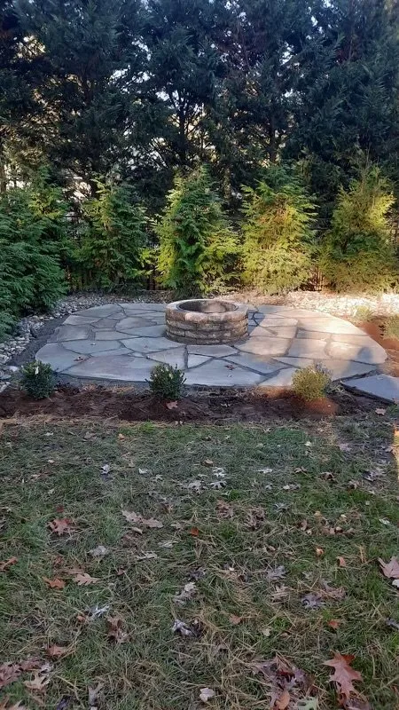 Professional yard cleanup service for year-round maintenance in Oakland, FL by Leaf And Home