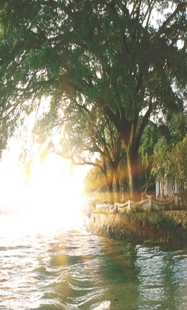 Affordable yard cleanup service experts serving Spicer, MN - Leaf And Lake Consulting