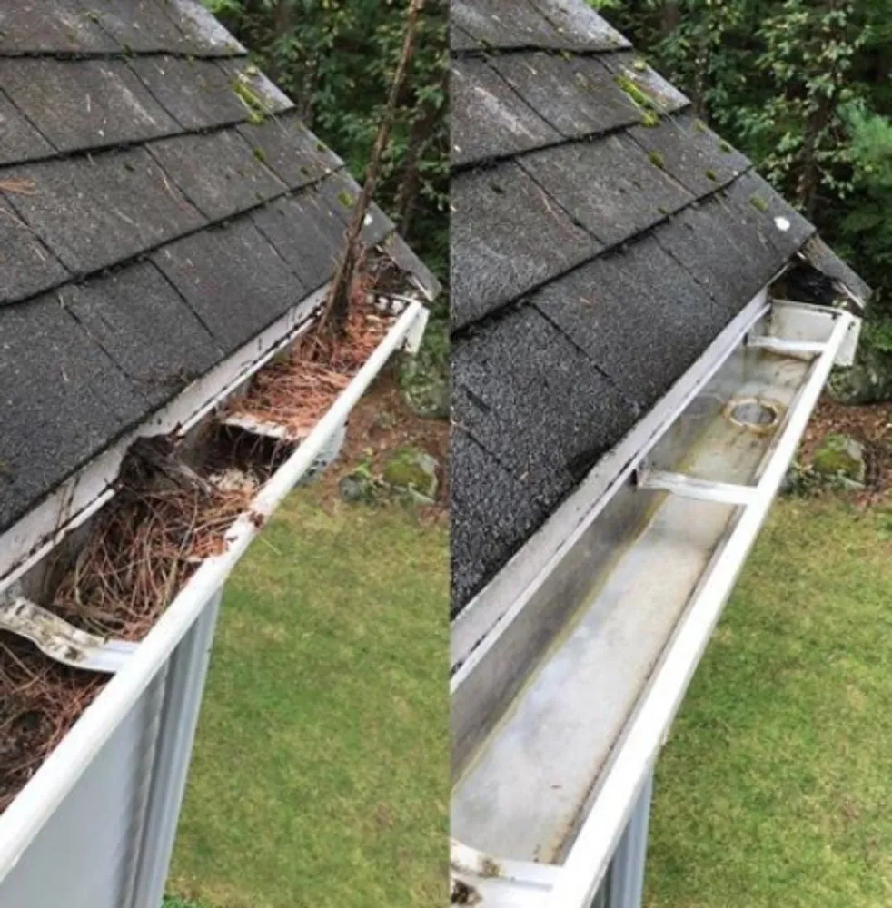 Trusted landscaping services in Springfield, MO - Leaf Chief