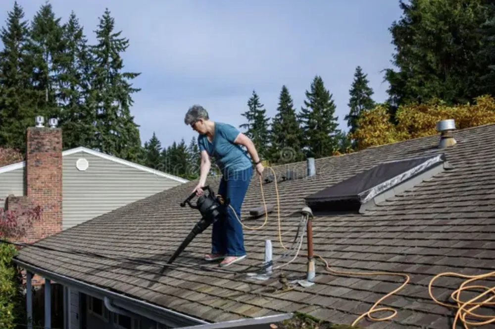 Trusted landscape design in Springfield, MO - Leaf Chief