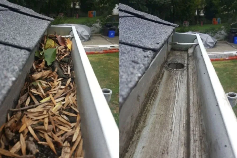 Custom yard cleanup service near you in Springfield, MO by Leaf Chief