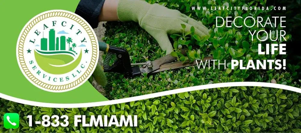 Expert landscape installation for beautiful yards across Miami, FL - Leaf City Florida