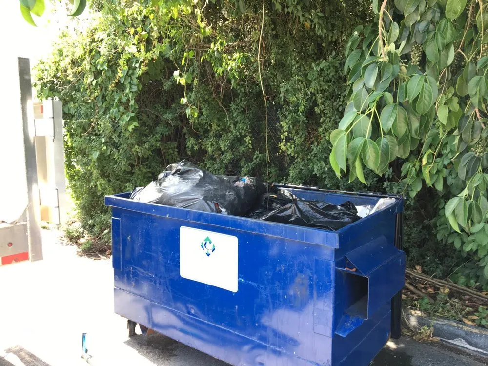 Reliable yard cleanup service in Miami, FL - Leaf City Florida