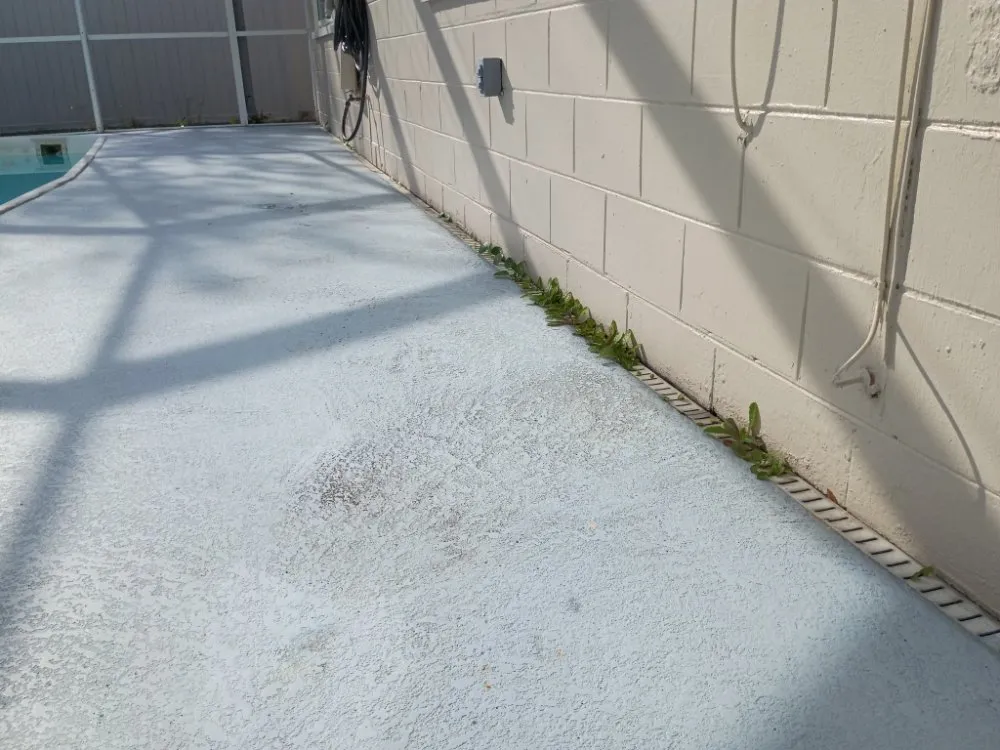 Expert yard cleanup service experts serving Largo, FL - Leaf Cut Lawn Care